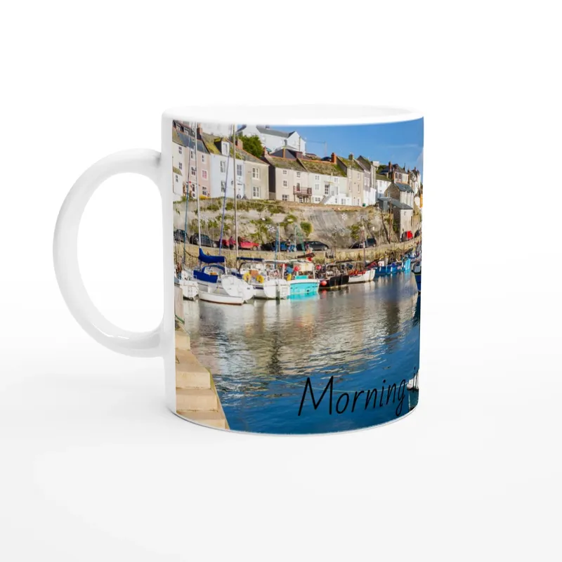 Morning In Mevagissey